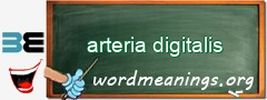 WordMeaning blackboard for arteria digitalis